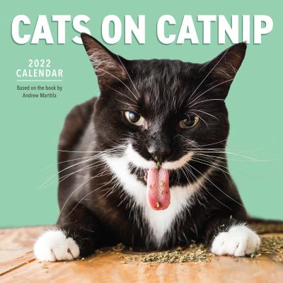 2022 Cats on Catnip Calendar - Andrew Marttila - Gadżety - Workman Publishing - 9781523512782 - 21 września 2021