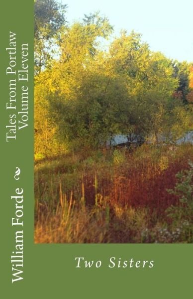 Tales From Portlaw Volume Eleven - William Forde - Libros - Createspace Independent Publishing Platf - 9781533061782 - 2 de mayo de 2016