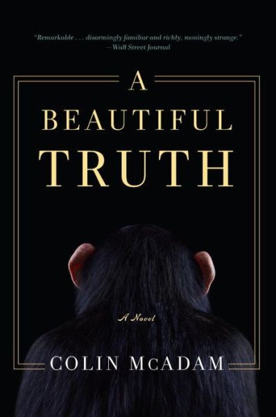 Cover for Colin Mcadam · A Beautiful Truth (Paperback Book) (2014)