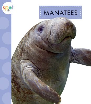 Cover for Mari Schuh · Manatees (Paperback Book) (2021)