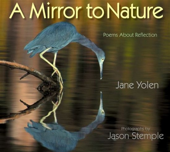 Jane Yolen · Mirror to Nature, A: Poems about Reflection (Pocketbok) (2019)