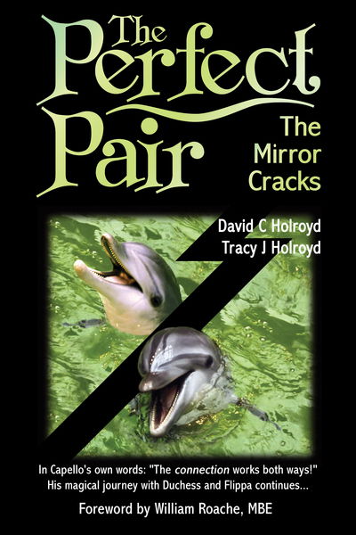 Cover for David C Holroyd · The Perfect Pair: The Mirror Cracks (Hardcover bog) [UK edition] (2014)