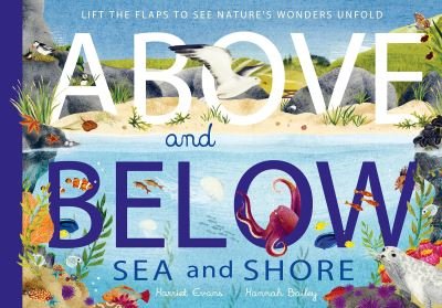 Cover for Harriet Evans · Above and Below: Sea and Shore: Lift the flaps to see nature's wonders unfold - Above and Below (Hardcover Book) (2021)