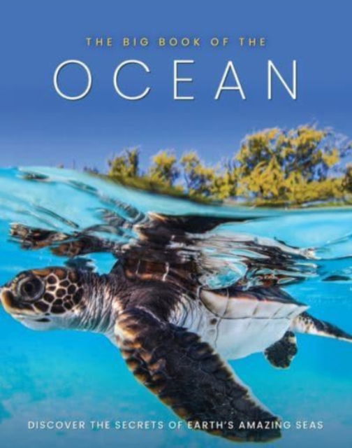The Big Book of the Ocean - Sona Books - Books - Danann Media Publishing Limited - 9781912918782 - November 8, 2021