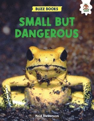 Cover for Paul Stevenson · Small But Dangerous - Buzz Books (Paperback Book) (2024)