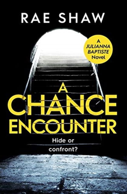 Cover for Rae Shaw · A Chance Encounter (Paperback Book) (2021)