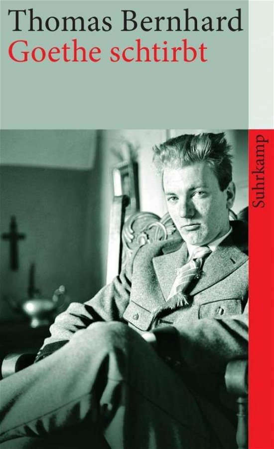 Cover for Thomas Bernhard · Suhrk.TB.4278 Bernhard.Goethe schtirbt (Bog)