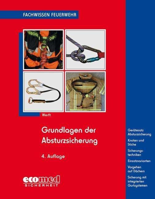 Cover for Werft · Grundlagen der Absturzsicherung (Bog)