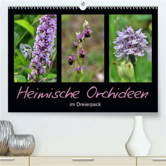 Cover for Löwer · Heimische Orchideen im Dreierpack (Book)