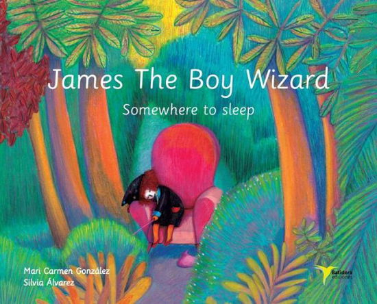 Cover for Mari Carmen González Sánchez · James The Boy Wizard (Hardcover Book) (2022)