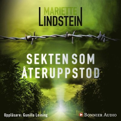 Cover for Mariette Lindstein · Dimön-serien: Sekten som återuppstod (Hörbok (MP3)) (2017)