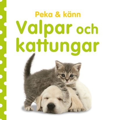 Peka och känn : Valpar och kattungar - Dawn Sirett - Livres - Lind & Co - 9789180182782 - 18 février 2022
