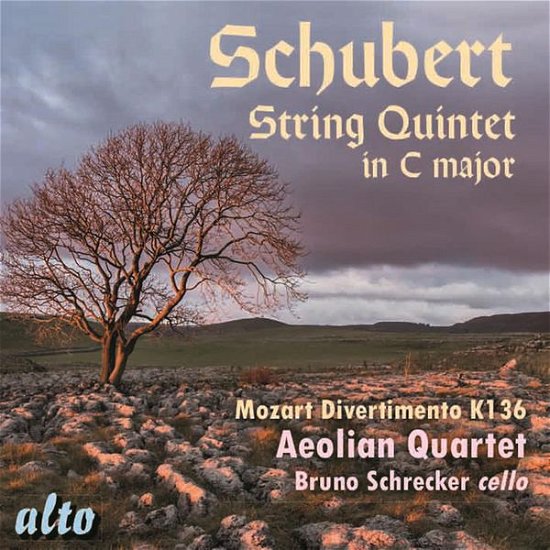Schubert: String Quintet In C Major / Mozart Divertimento salzburg Sym - Aeolian Quartet / Bruno Schrecker (Cello) - Musik - ALTO CLASSICS - 5055354412783 - 1. august 2015