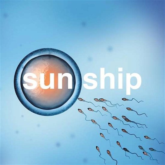Sun Ship-10" - Brian Jonestown Massacre - Musik - CARGO UK - 5055869507783 - 22. September 2016