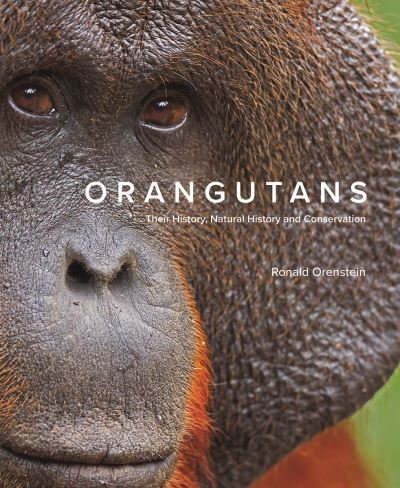 Cover for Ronald Orenstein · Orangutans: Their History, Natural History and Conservation (Innbunden bok) (2024)