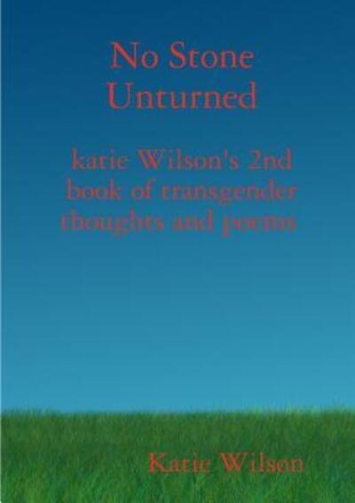 Cover for Katie Wilson · No Stone Unturned (Paperback Book) (2017)