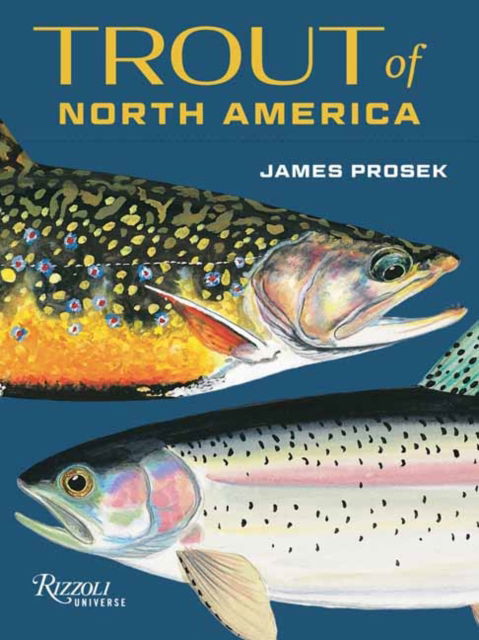 Cover for James Prosek · Trout North America Card Deck (Flashcards) (2025)