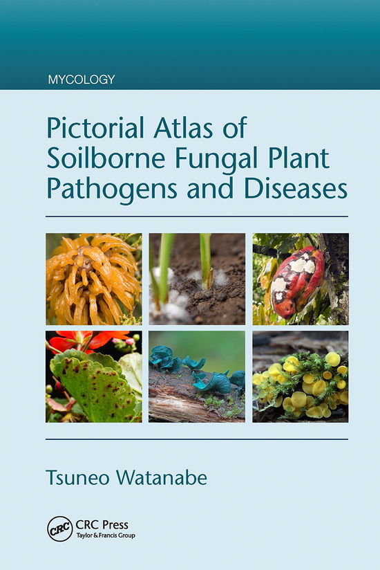 Cover for Watanabe, Tsuneo (Institute for Biological Resources and Functions, National Institute of Advanced Industrial Science and Technology (AIST), Tsukuba, Ibaraki, Japan) · Pictorial Atlas of Soilborne Fungal Plant Pathogens and Diseases - Mycology (Taschenbuch) (2021)