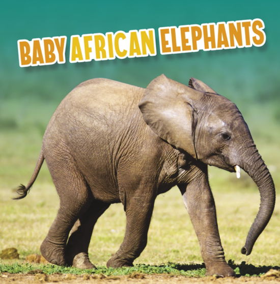 Cover for Martha E. H. Rustad · Baby African Elephants - Baby Animals (Paperback Book) (2023)