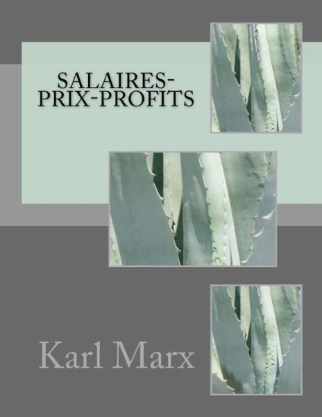 Cover for M Karl Marx · Salaires-prix-profits (Paperback Book) (2014)