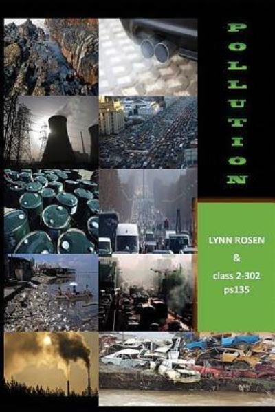Cover for Class 2-302 Ps 135 · Pollution (Paperback Book) (2015)