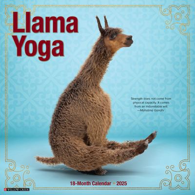 Llama Yoga 2025 12 X 12 Wall Calendar - Willow Creek Press - Koopwaar - Willow Creek Press Calendars - 9781549243783 - 10 september 2024