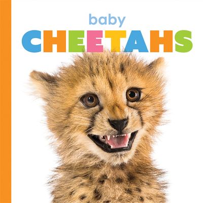 Cover for Kate Riggs · Baby Cheetahs (Paperback Book) (2020)