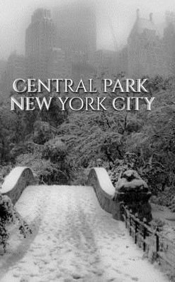 Sir Michael Huhn · Central park Bridge New York City snow Winter Blank Journal $ir Michael Huhn designer edition (Hardcover Book) (2020)