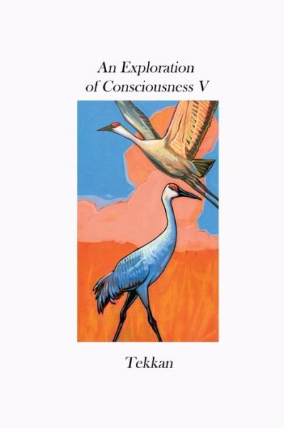 Cover for Tekkan · An Exploration of Consciousness V (Pocketbok) (2022)