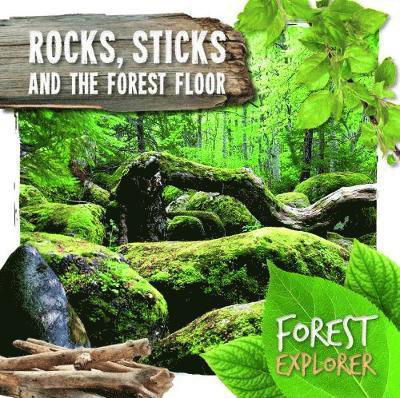 Cover for Robin Twiddy · Rocks, Sticks &amp; the Forest Floor - Forest Explorer (Hardcover Book) (2018)