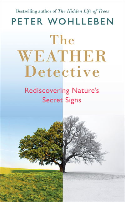 Cover for Peter Wohlleben · The Weather Detective: Rediscovering Nature's Secret Signs (Inbunden Bok) (2018)