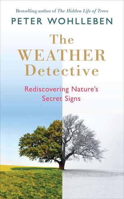 Cover for Peter Wohlleben · The Weather Detective: Rediscovering Nature's Secret Signs (Gebundenes Buch) (2018)