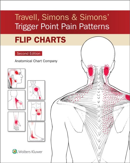 Cover for Anatomical Chart Company · Travell, Simons &amp; Simons’ Trigger Point Pain Patterns Flip Charts (Taschenbuch) (2022)