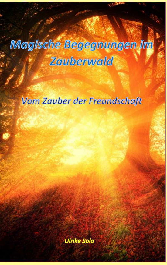 Magische Begegnungen im Zauberwald - Solo - Boeken -  - 9783746024783 - 3 juli 2019