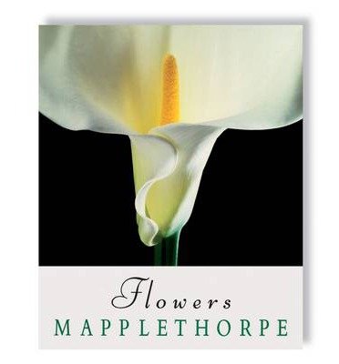 Cover for Patti Smith · Robert Mapplethorpe: Flowers (Inbunden Bok) (2014)