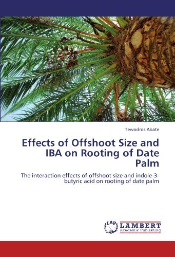 Cover for Tewodros Abate · Effects of Offshoot Size and Iba on Rooting of Date Palm: the Interaction Effects of Offshoot Size and Indole-3-butyric Acid on Rooting of Date Palm (Paperback Bog) (2012)