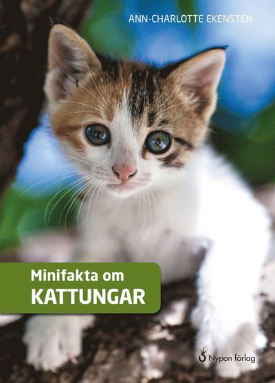 Cover for Ann-Charlotte Ekensten · Minifakta om ?: Minifakta om kattungar (Gebundesens Buch) (2019)