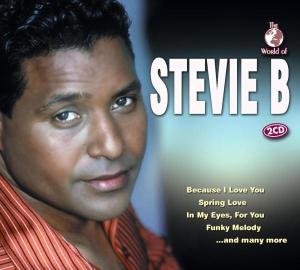 Cover for Stevie B · World of Stevie B (CD) [Tribute edition] (2004)