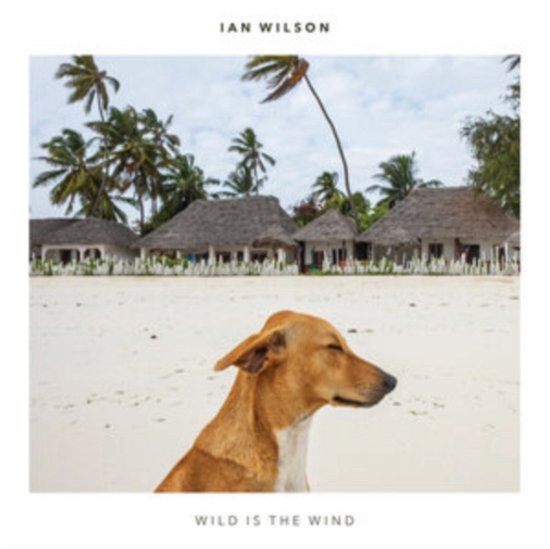 Cover for Ian Wilson · Wild Is The Wind (CD) (2020)
