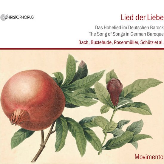 Cover for Hammerschmidt / Buxtehude / Rosenmueller · Lied Der Liebe: Song of Songs in German Baroque (CD) (2013)