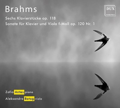 Cover for Zofia Antes &amp; Aleksandra Batog · Brahms: Sechs Klavierstuke Op.188. Sonata Fur Klavier Und Viola Op.120. No.1 (CD) (2019)