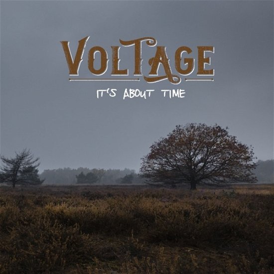 Cover for Voltage · It's About Time (LP) (2020)