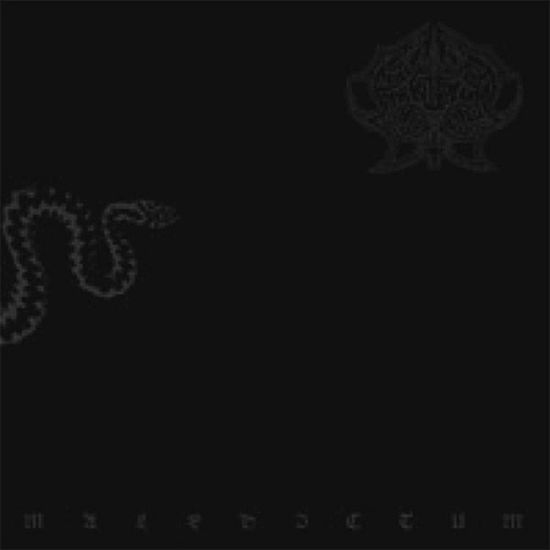 Maledictum - Abruptum - Music - REGAIN - BLOODDAWN PRODUCTIONS - 7320470103784 - August 30, 2024