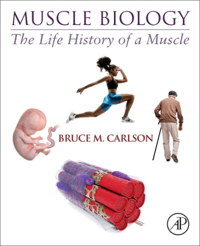 Cover for Carlson, Bruce M. (Professor, Department of Cell and Developmental Biology; Director, Institute of Gerontology, University of Michigan, Ann Arbor, MI, USA) · Muscle Biology: The Life History of a Muscle (Paperback Book) (2021)