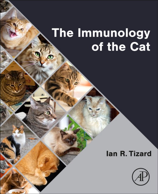 Cover for Tizard, Ian R, BVMS, PhD, DSc (H), ACVM (H) (Texas A &amp;M University, College Station, Texas, USA) · The Immunology of the Cat (Taschenbuch) (2024)