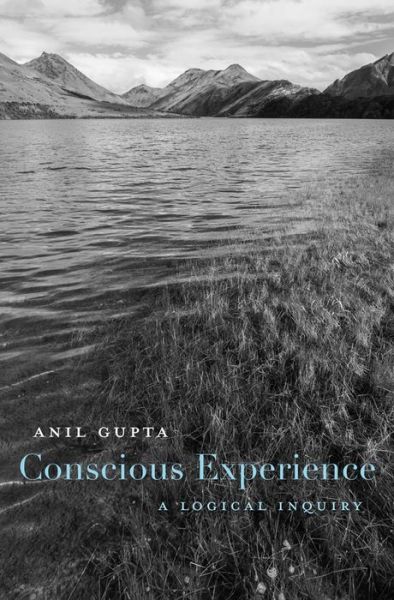 Cover for Anil Gupta · Conscious Experience: A Logical Inquiry (Hardcover Book) (2019)