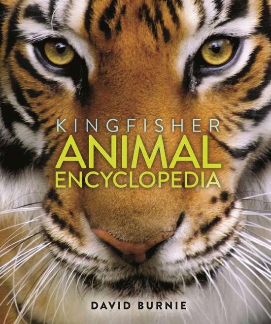 The Kingfisher Animal Encyclopedia - Kingfisher Encyclopedias - David Burnie - Książki - Pan Macmillan - 9780753442784 - 15 listopada 2018