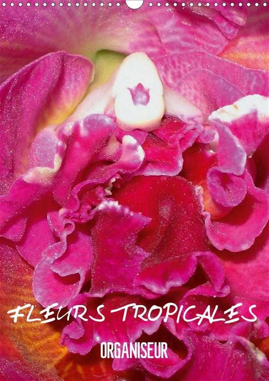 Fleurs tropicales / organiseur (C - Blank - Bøker -  - 9781325521784 - 