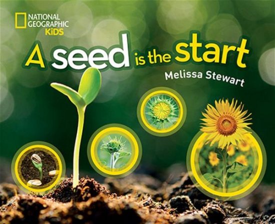 Cover for Melissa Stewart · A Seed is the Start (Innbunden bok) (2018)