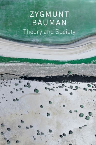 Cover for Bauman, Zygmunt (Universities of Leeds and Warsaw) · Theory and Society: Selected Writings (Paperback Book) (2024)